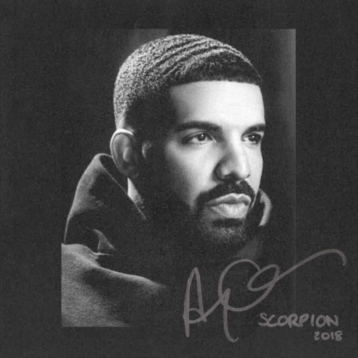 Scorpion cover
