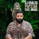 POPSTAR cover